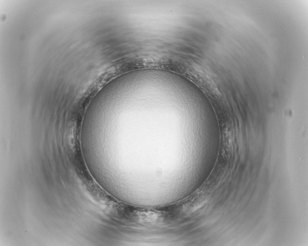 X0000088890698200706221840