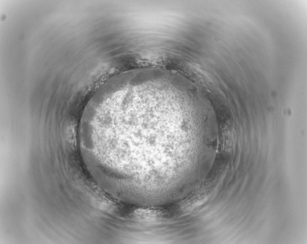 X0000088890699200706221840