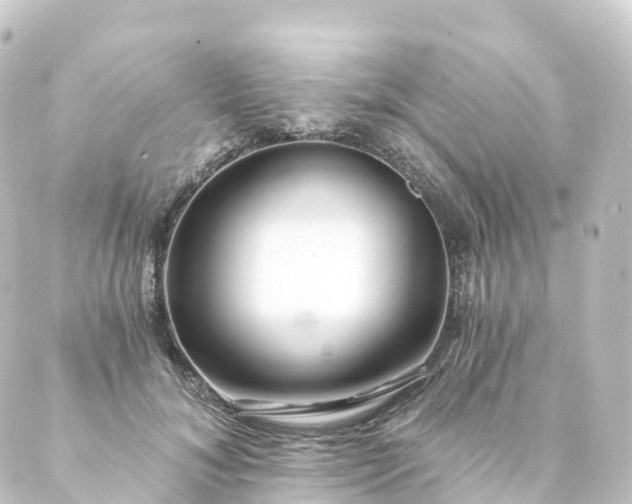 X0000088890700200706221840