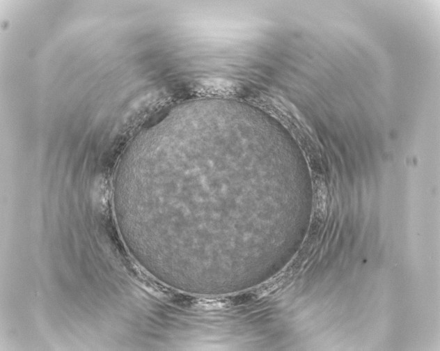 X0000088890701200706221840