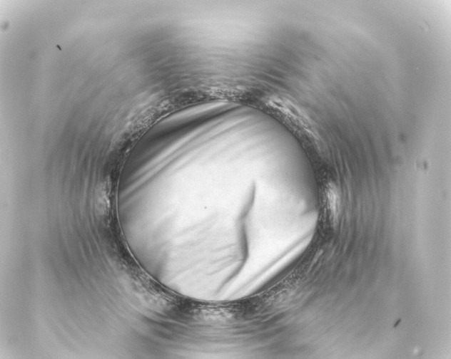 X0000088890702200706221840