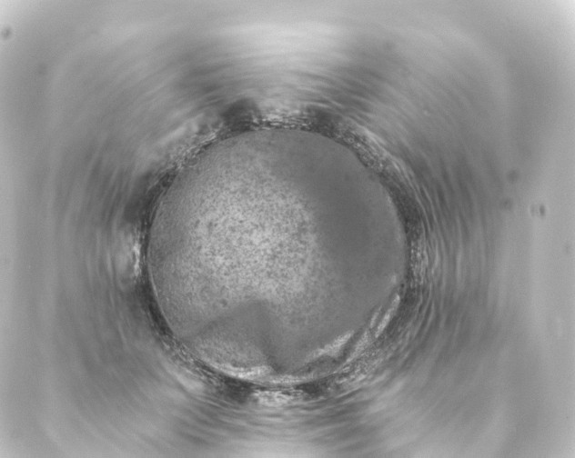 X0000088890703200706221840