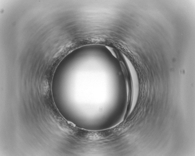 X0000088890704200706221840