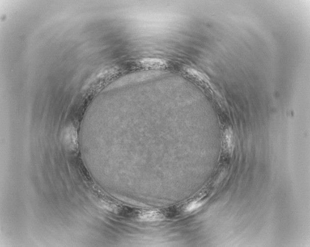 X0000088890705200706221840