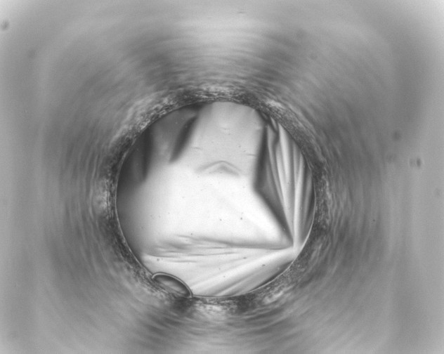 X0000088890706200706221840