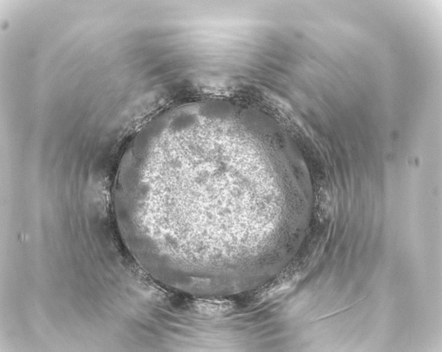 X0000088890707200706221840