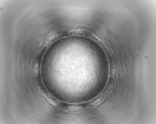 X0000088890708200706221840