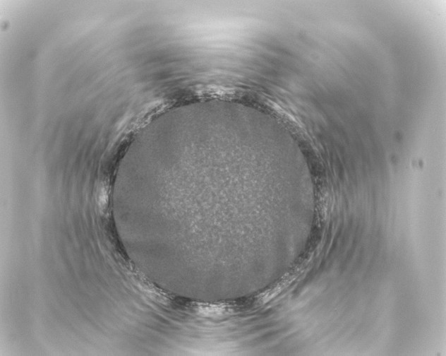 X0000088890709200706221840