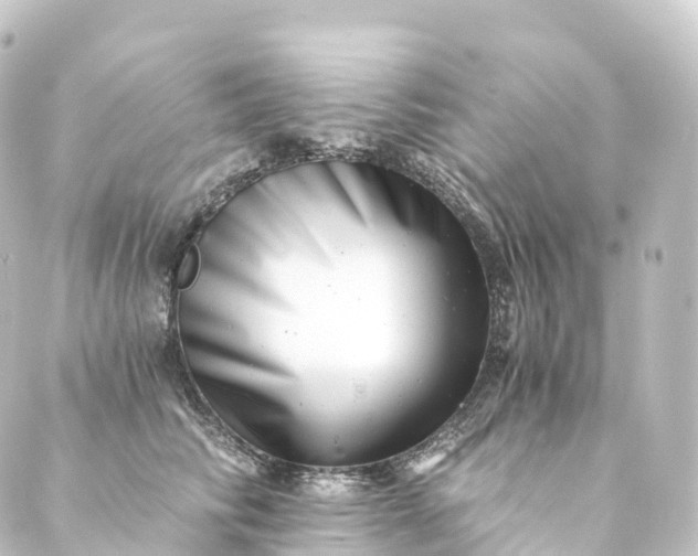 X0000088890710200706221840