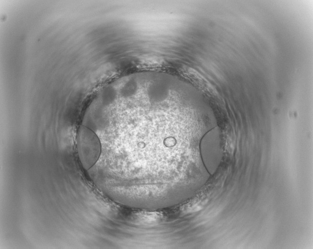 X0000088890711200706221840