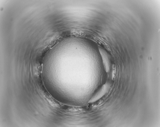 X0000088890712200706221840