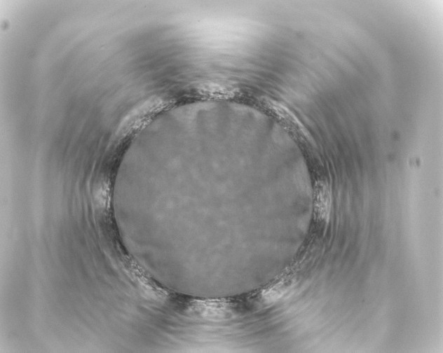 X0000088890713200706221840