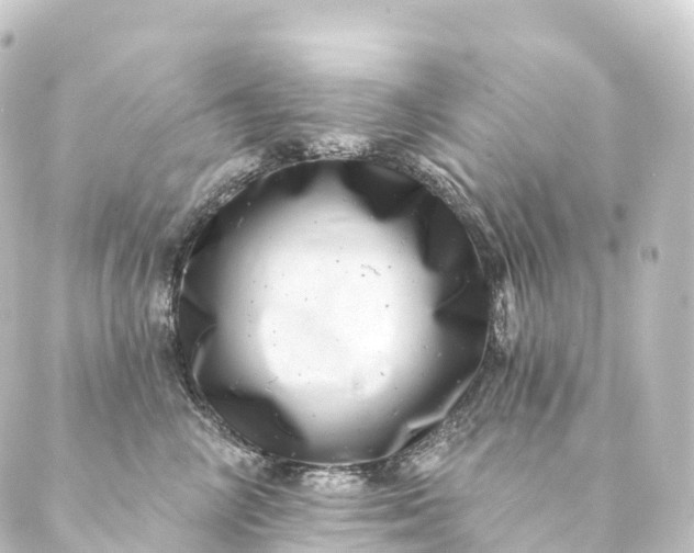 X0000088890714200706221840