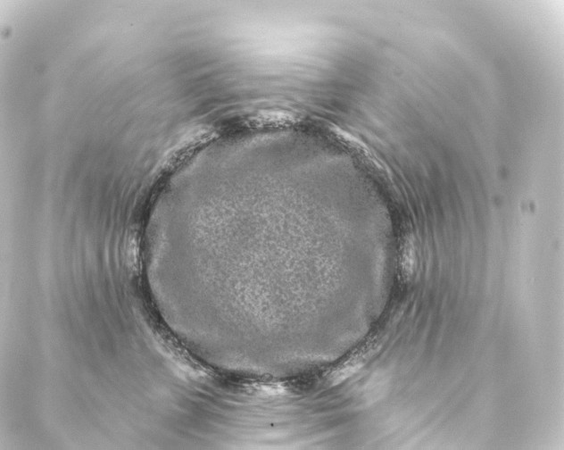 X0000088890715200706221840