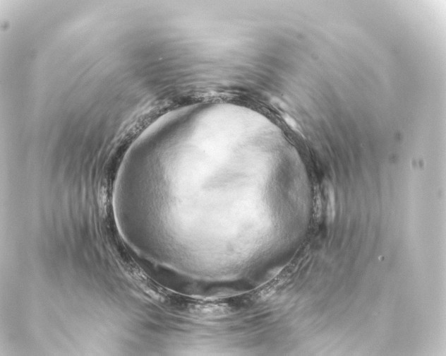 X0000088890716200706221840