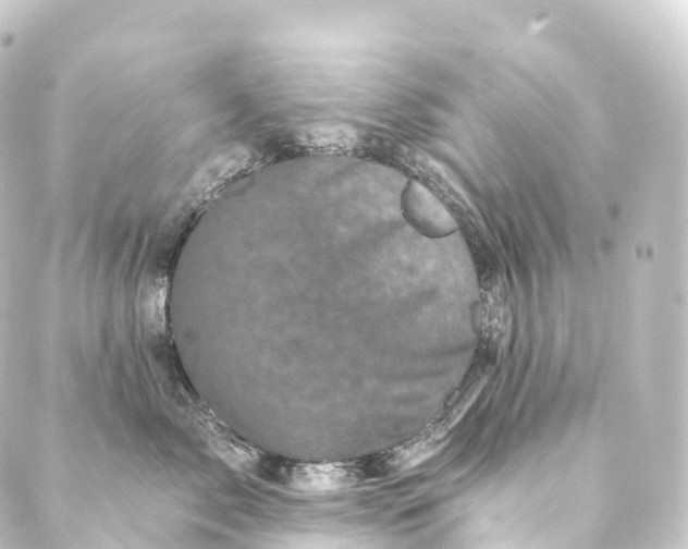 X0000088890717200706221840