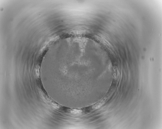 X0000088890718200706221840