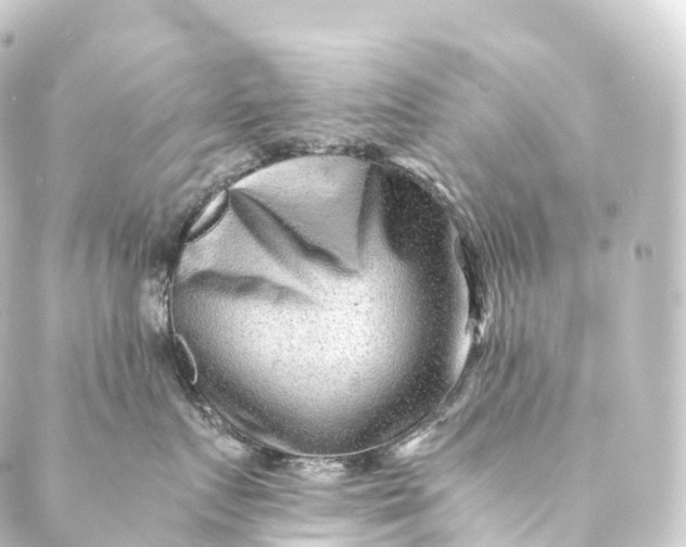 X0000088890719200706221840