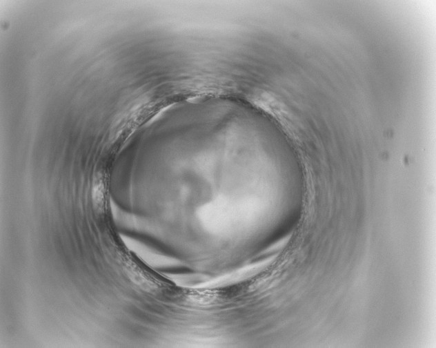 X0000088890720200706221840