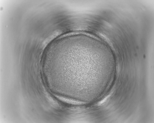 X0000088890721200706221839