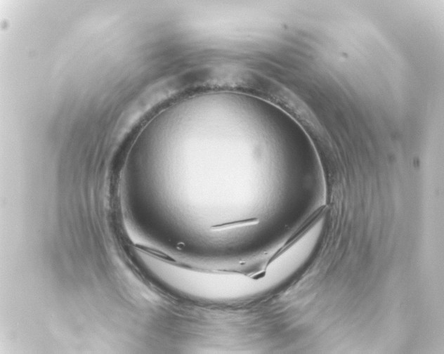 X0000088890722200706221839