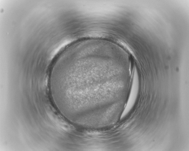 X0000088890723200706221839