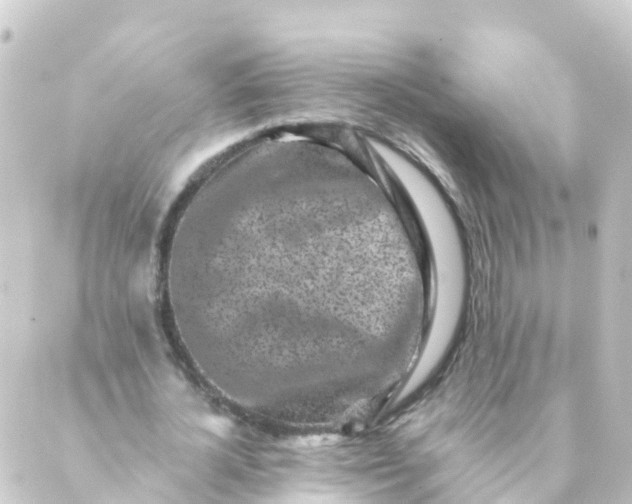 X0000088890724200706221839