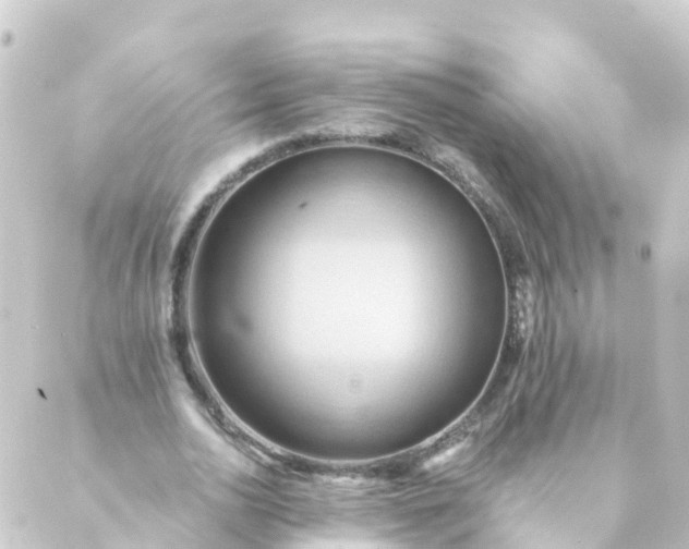 X0000088890726200706221839