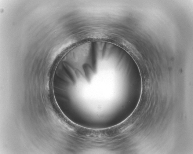 X0000088890727200706221839