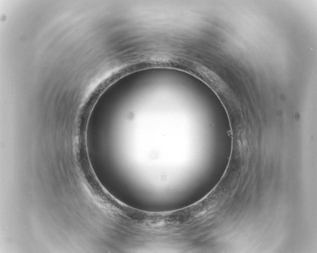 X0000088890728200706221839