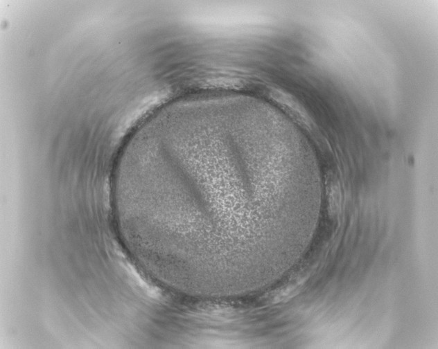 X0000088890729200706221839