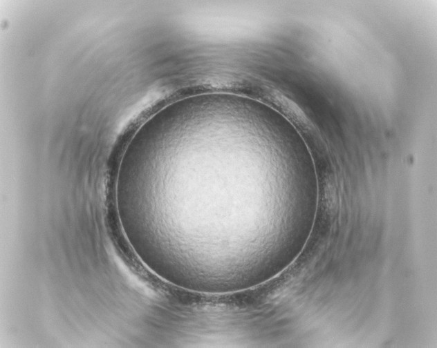 X0000088890730200706221839