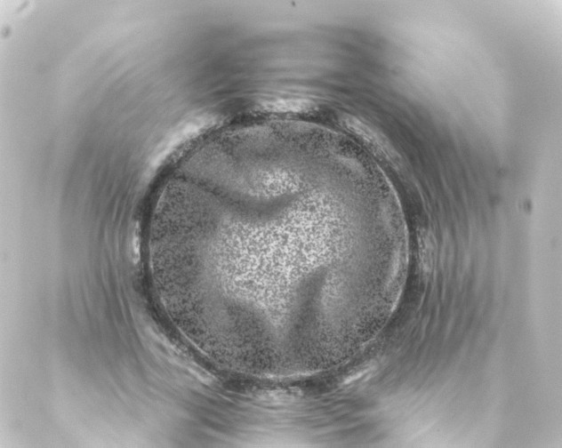 X0000088890731200706221839