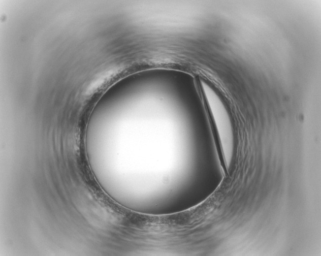 X0000088890732200706221839