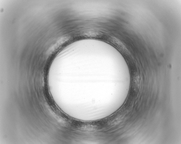 X0000088890734200706221839