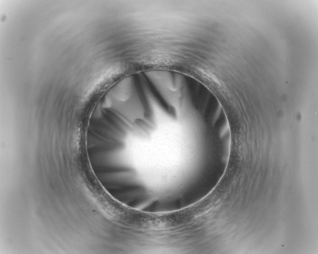 X0000088890735200706221839