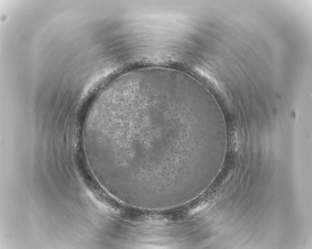 X0000088890736200706221839