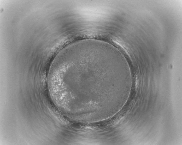 X0000088890737200706221839