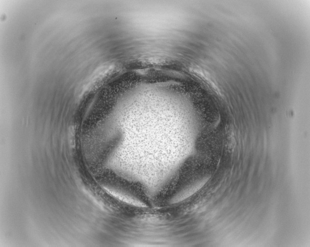 X0000088890738200706221839