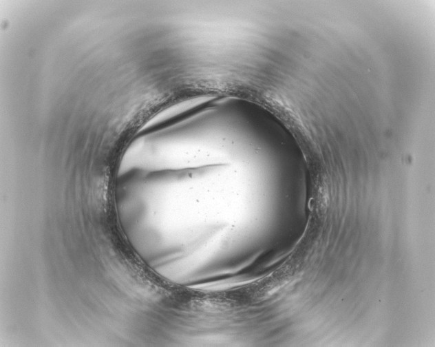 X0000088890739200706221839