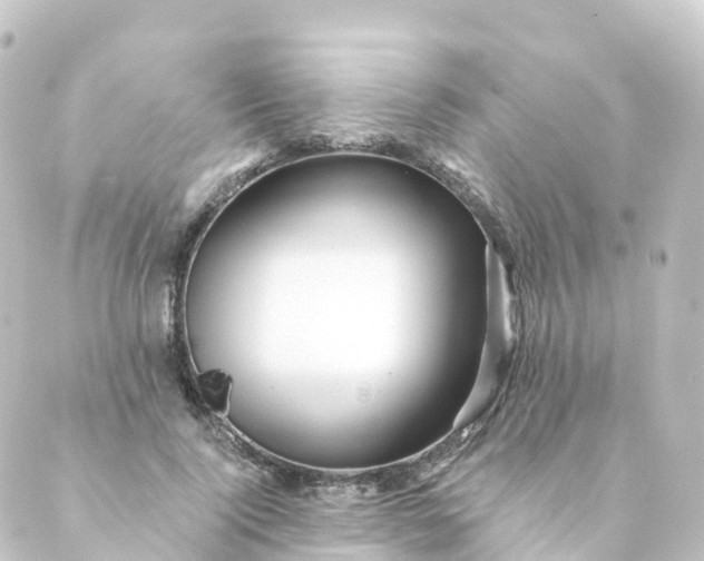 X0000088890740200706221839