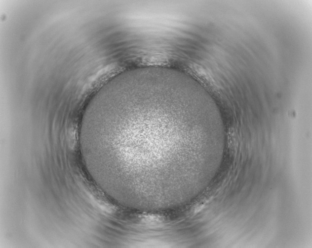 X0000088890741200706221839