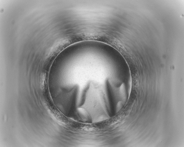 X0000088890742200706221839