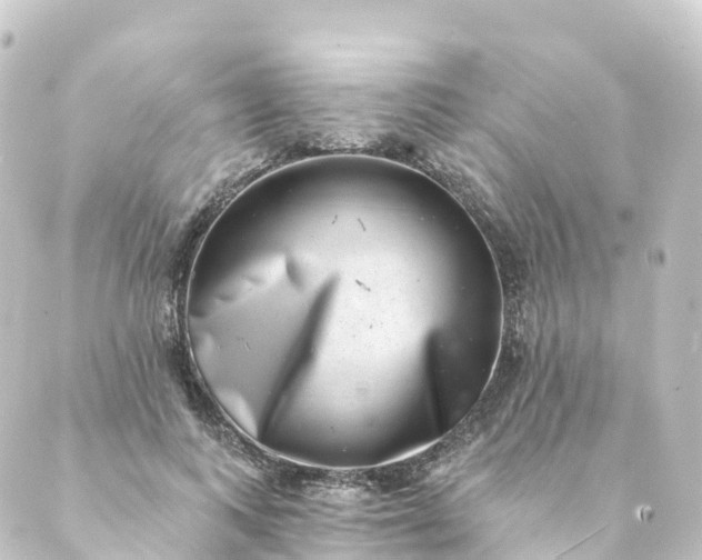 X0000088890743200706221839