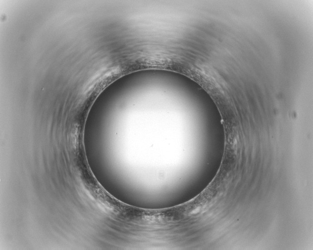 X0000088890744200706221839