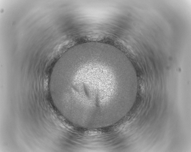 X0000088890745200706221839