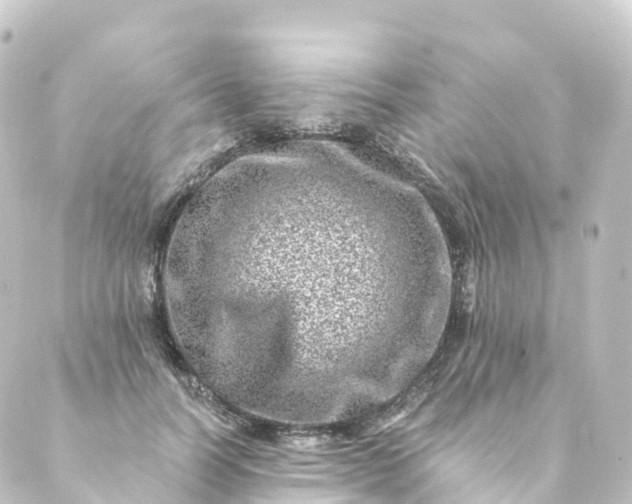 X0000088890746200706221839