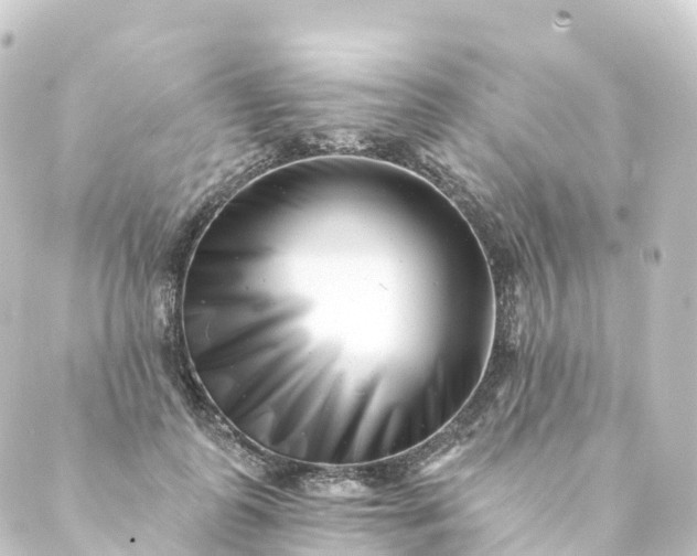 X0000088890747200706221839