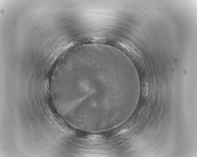 X0000088890748200706221839