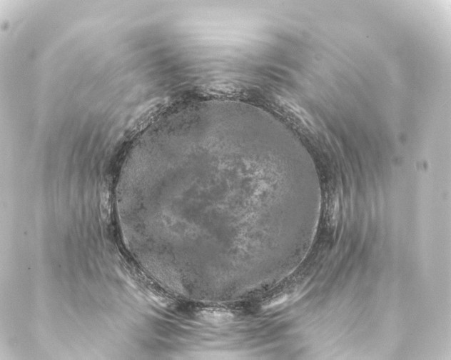 X0000088890749200706221839